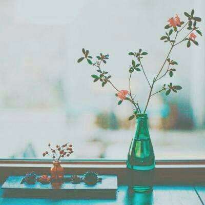 皇冠APP官方版下载安装截图